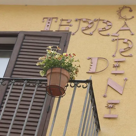 Terra Di * カリーニ